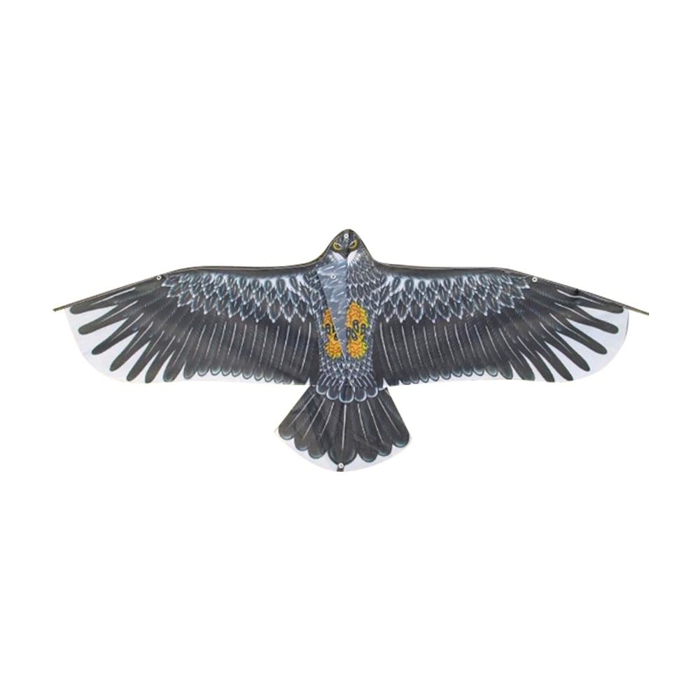 1.1m Eagle Kite With 30m Kite  - đánh giá và giá Kids Outdoor Storage