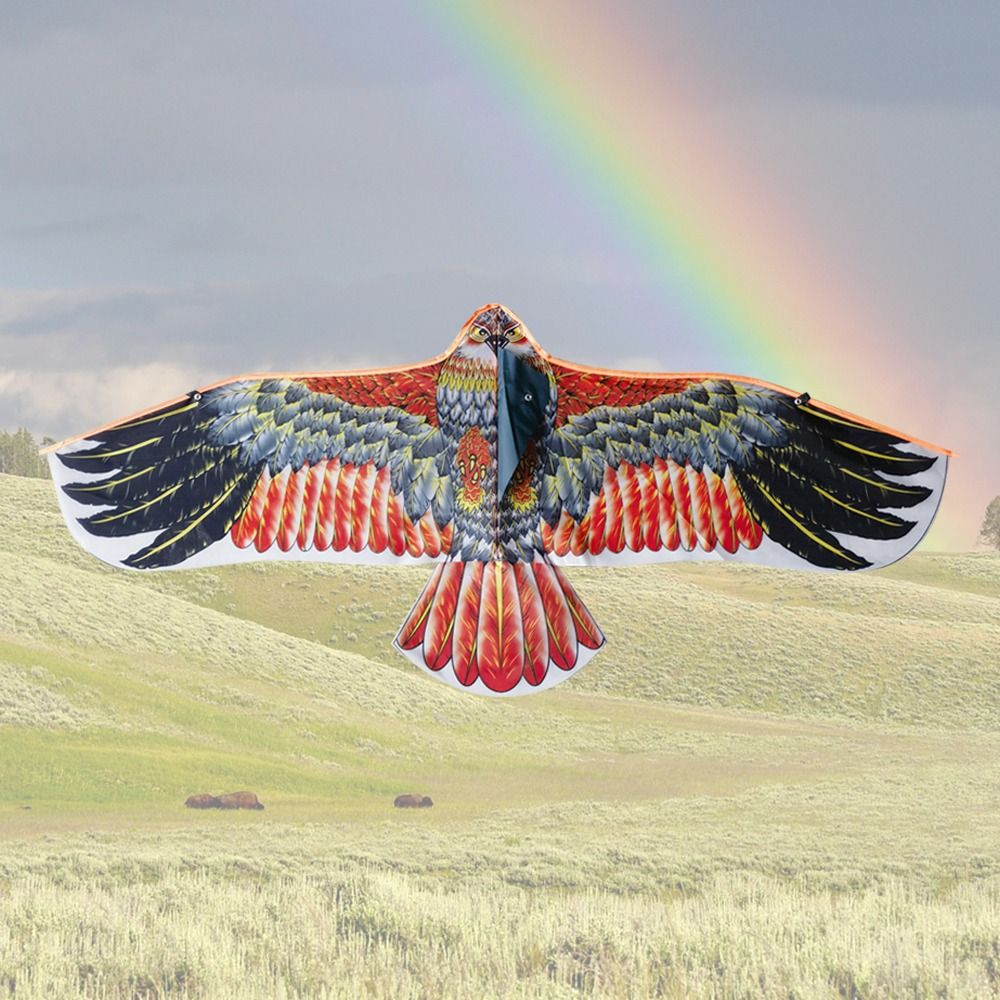 1.1m Eagle Kite With 30m Kite  - đánh giá và giá Kids Outdoor Storage